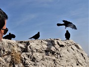 GRIGNETTA via Cermenati in salita-Sentiero delle capre in discesa dal Pian dei Resinelli-21mar22 - FOTOGALLERY